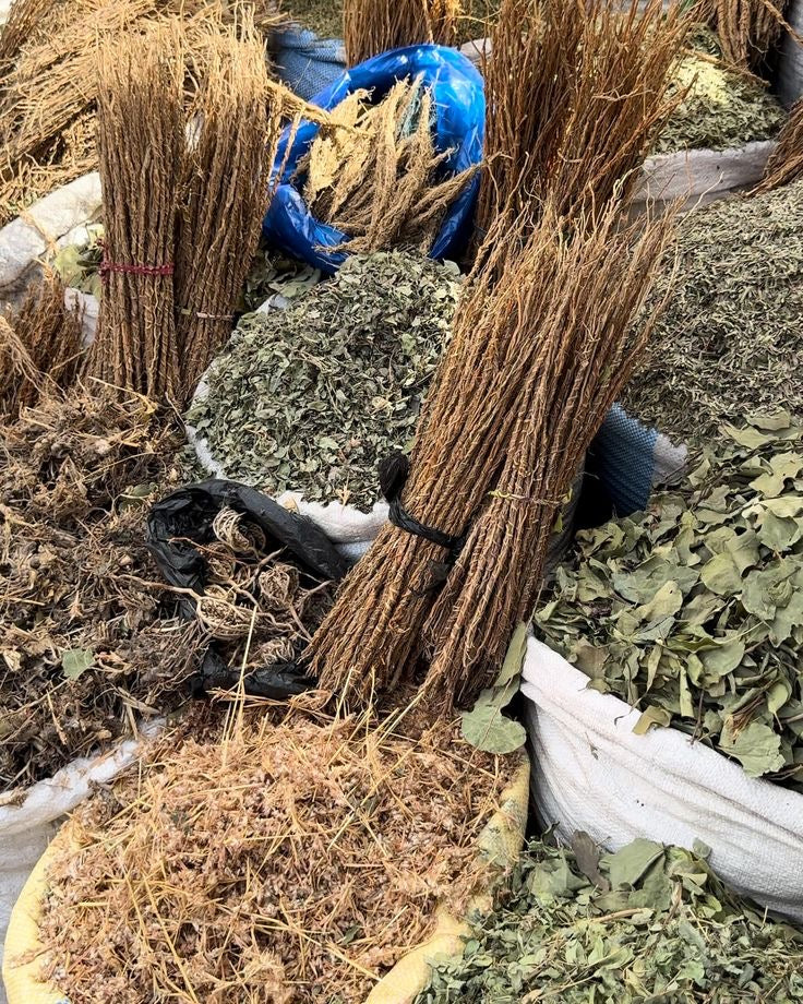 Pack (Djéka-Gongoli-nep nep